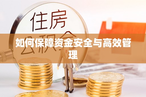 雄安新区如何保障资金安全与高效管理