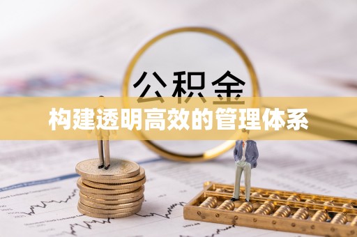 雄安新区构建透明高效的管理体系