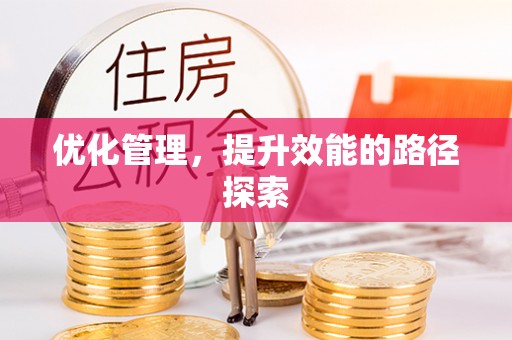 雄安新区优化管理，提升效能的路径探索