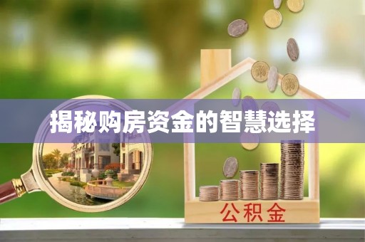 雄安新区揭秘购房资金的智慧选择