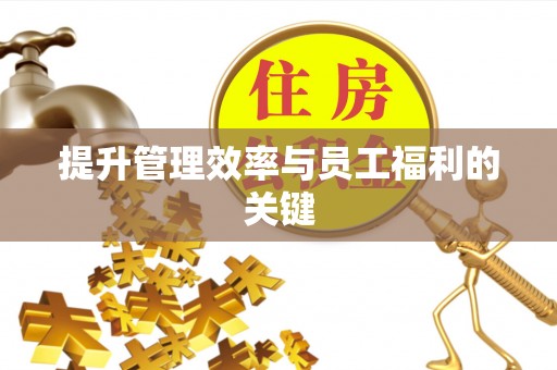 雄安新区提升管理效率与员工福利的关键