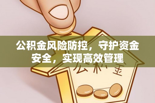 雄安新区公积金风险防控，守护资金安全，实现高效管理