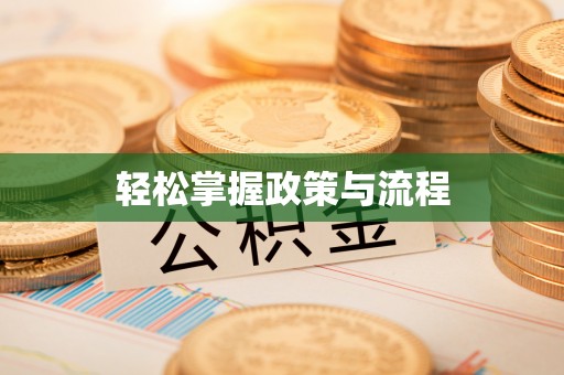 雄安新区轻松掌握政策与流程