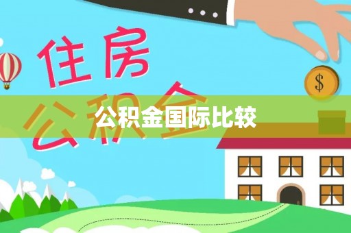 雄安新区公积金国际比较