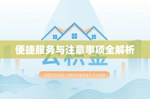 雄安新区便捷服务与注意事项全解析