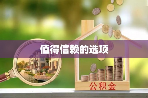 雄安新区值得信赖的选项