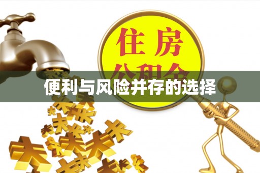 雄安新区便利与风险并存的选择
