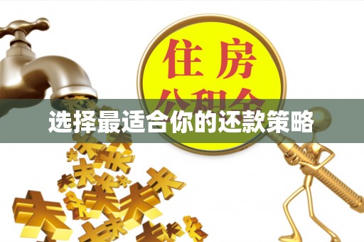 雄安新区选择最适合你的还款策略