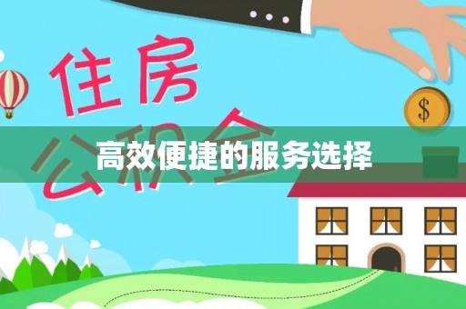 雄安新区高效便捷的服务选择