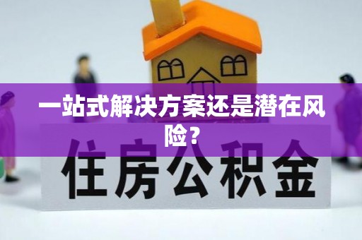 雄安新区一站式解决方案还是潜在风险？